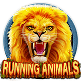 RTP CQ9  foxybet77