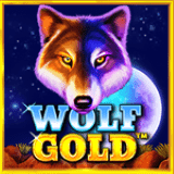 RTP pragmatic  foxybet77